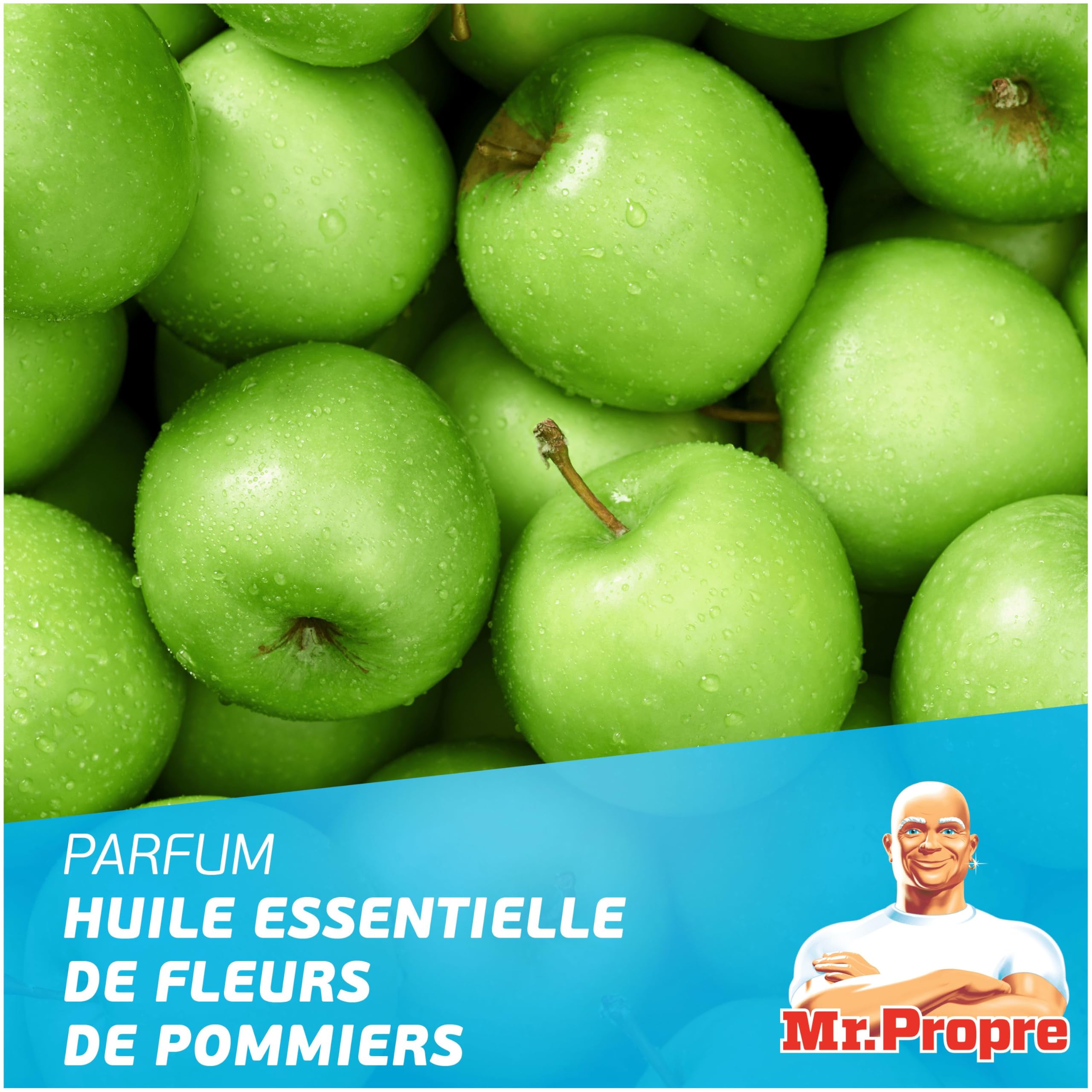 mr-propre-nettoyant-liquide-sol-multi-usages-fleurs-pommier-1l-x6 image 6