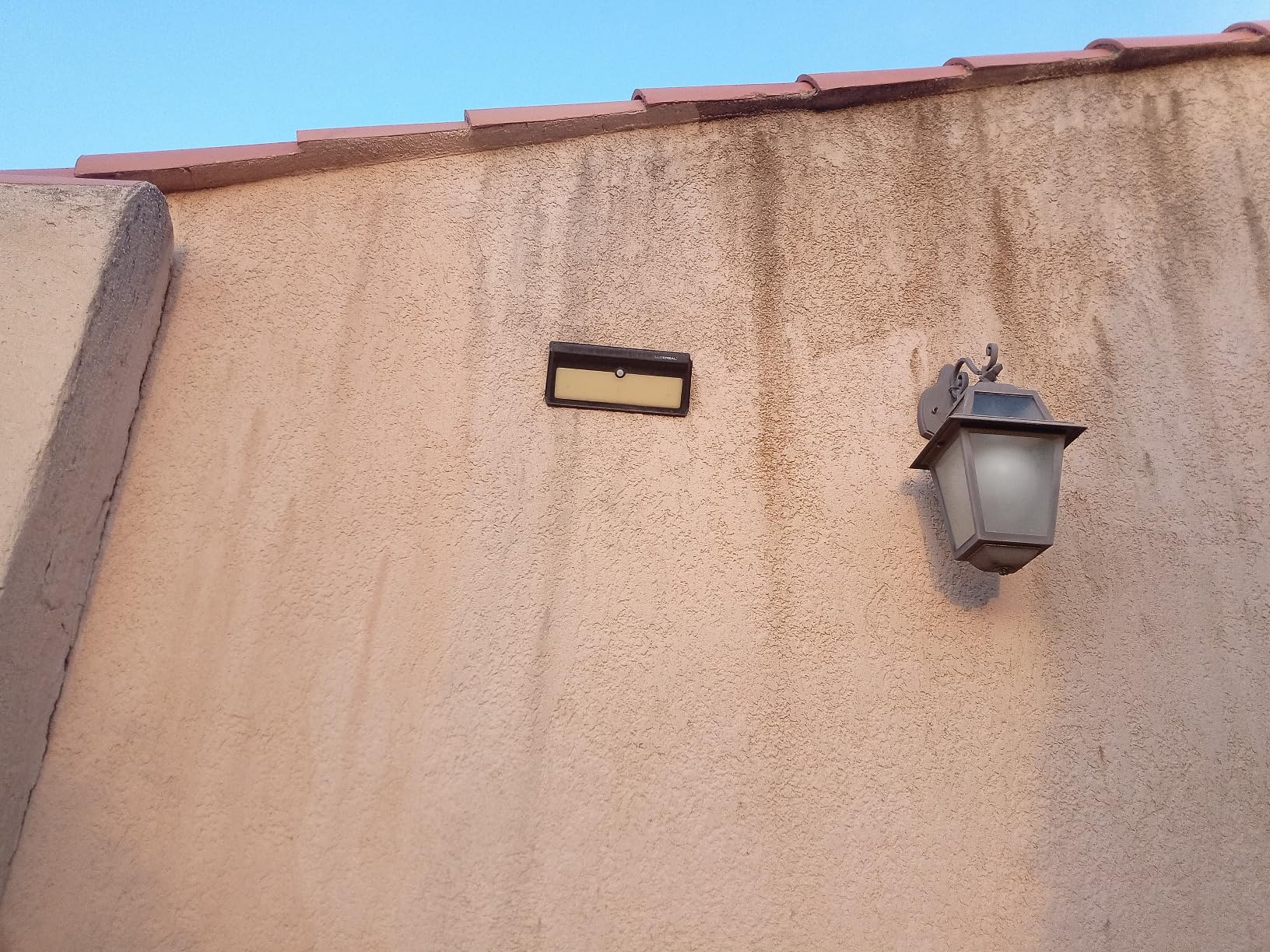 Mitigé sur lichen incrusté