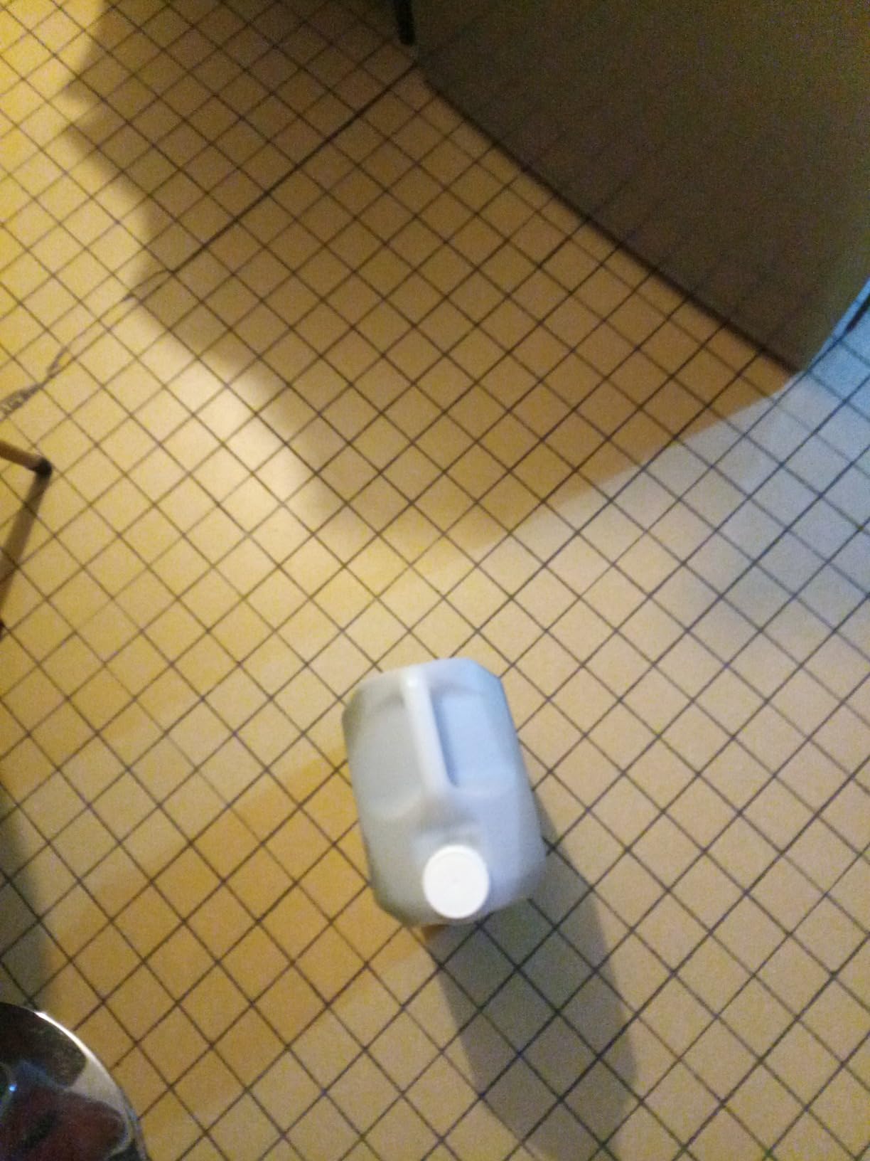 Mon allié depuis des années