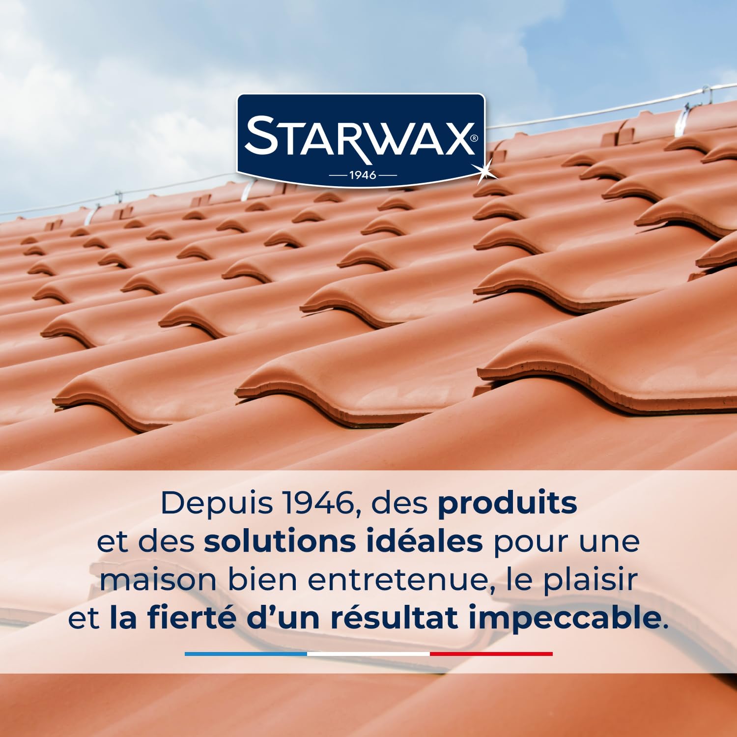starwax-destructeur-de-d-p-ts-verts-rouges-lichens-1l image 6