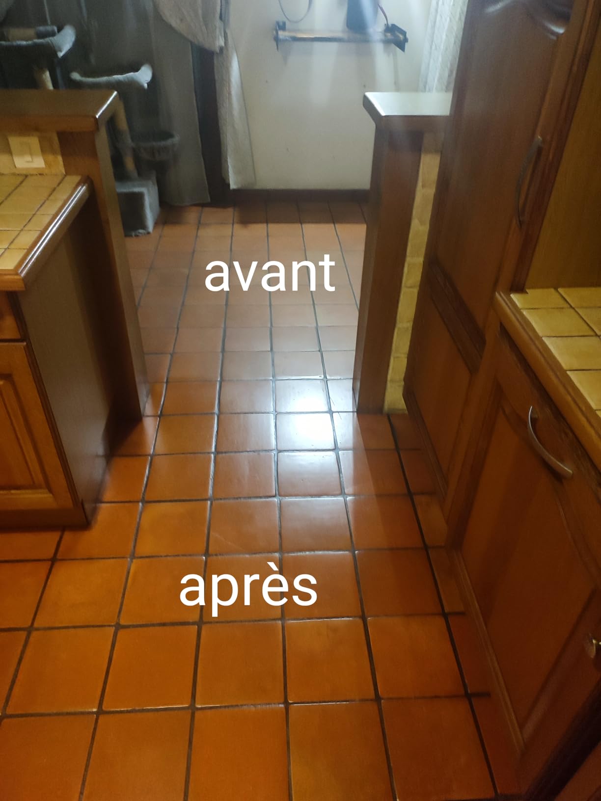 Mes tomettes ont revécu