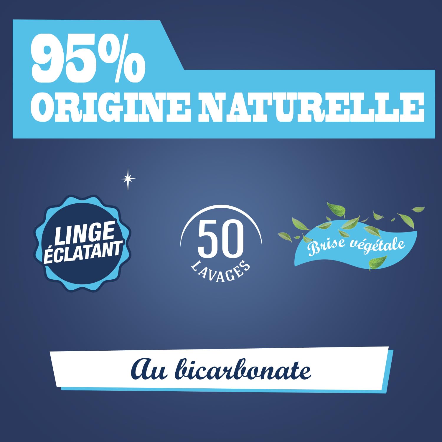 le-briochin-lessive-liquide-bicarbonate-brise-v-g-tale-50-lavages image 3
