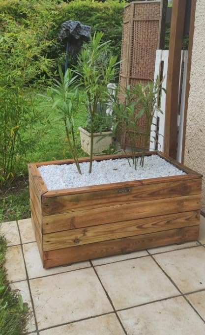 Déçue sur bois très gris