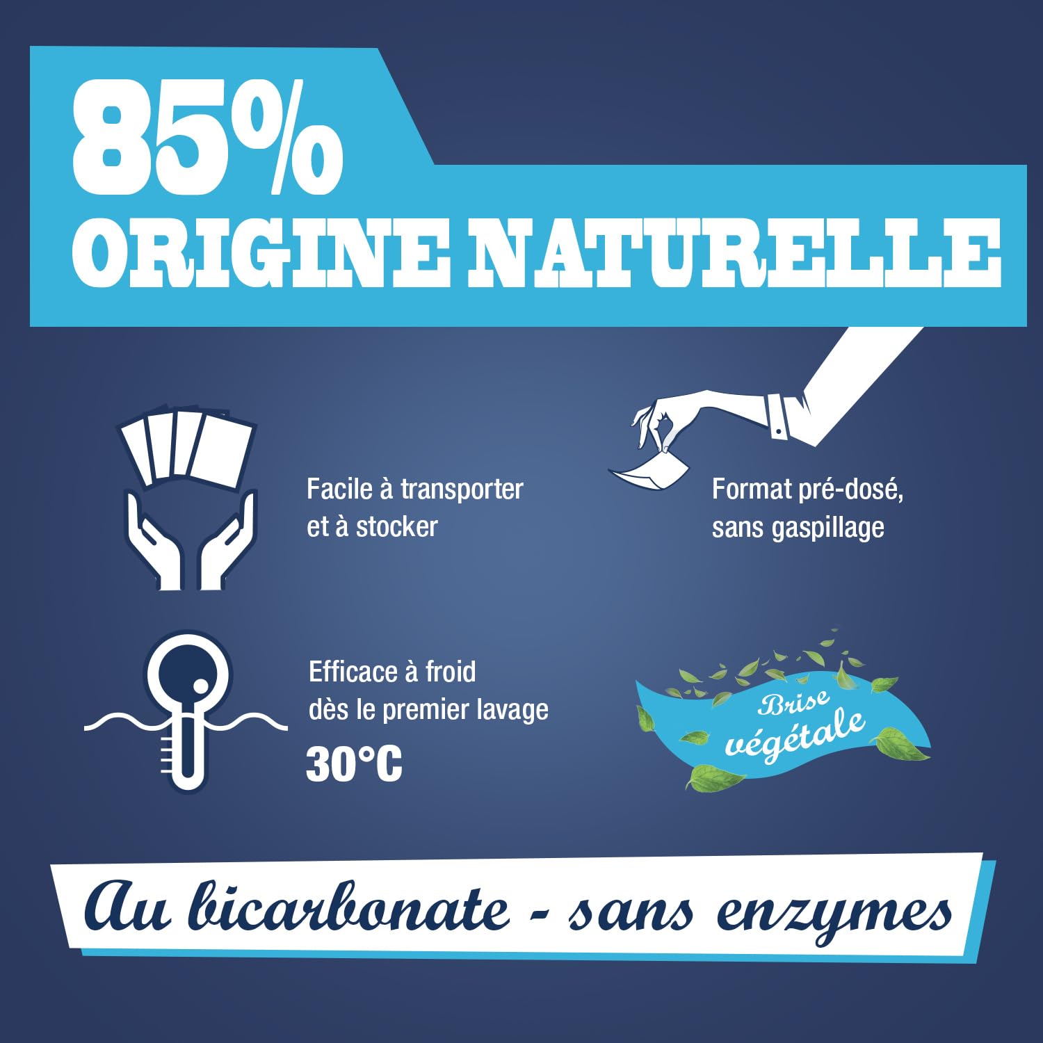 jacques-briochin-feuilles-de-lessive-bicarbonate-brise-v-g-tale-x20 image 3