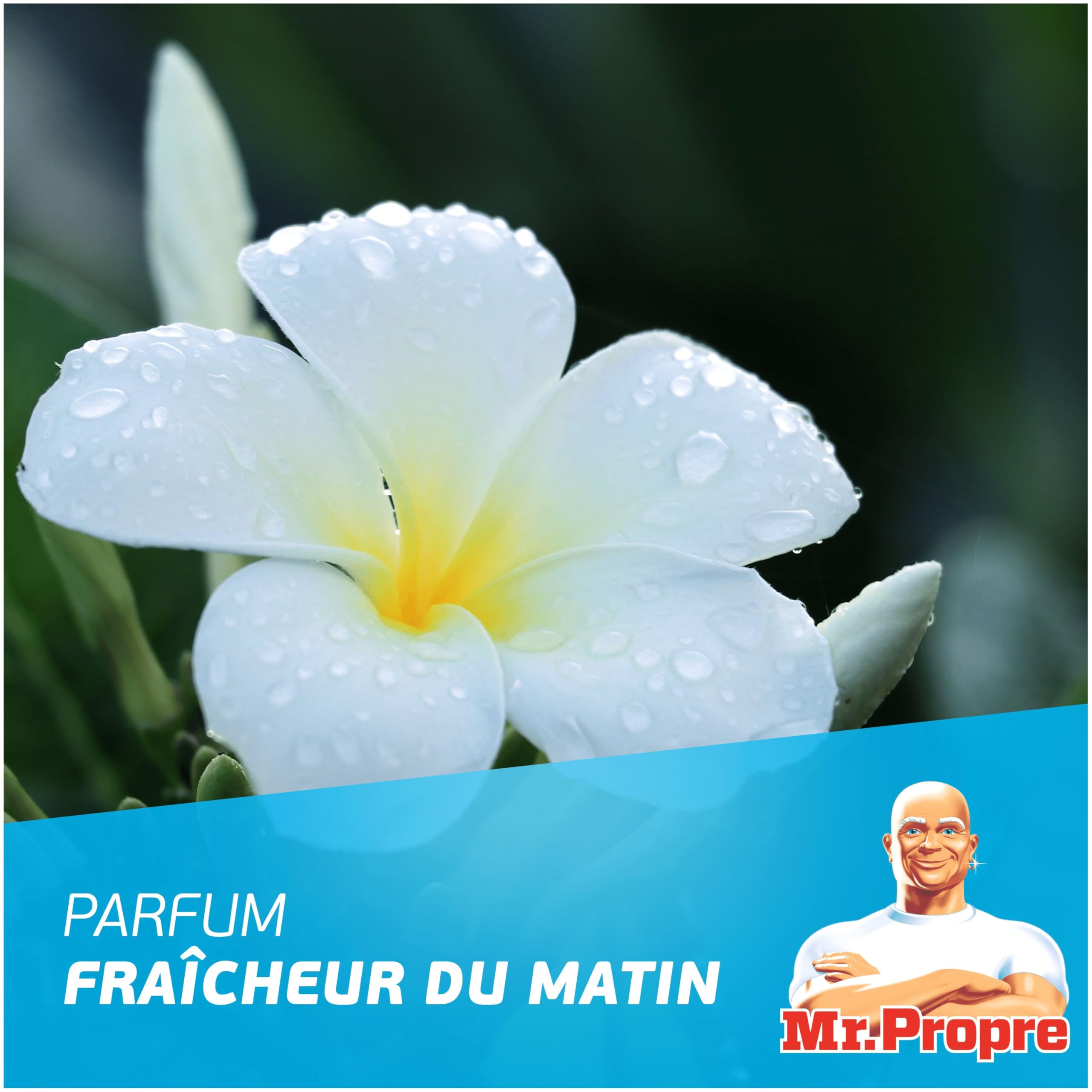 mr-propre-nettoyant-sol-multi-usages-fra-cheur-matin-1-5l-x9 image 6