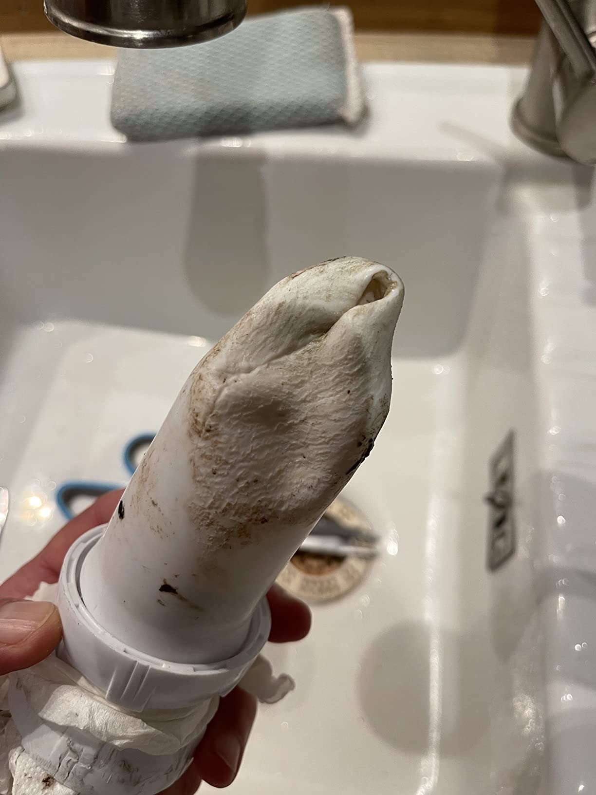 Mon plombier en pot