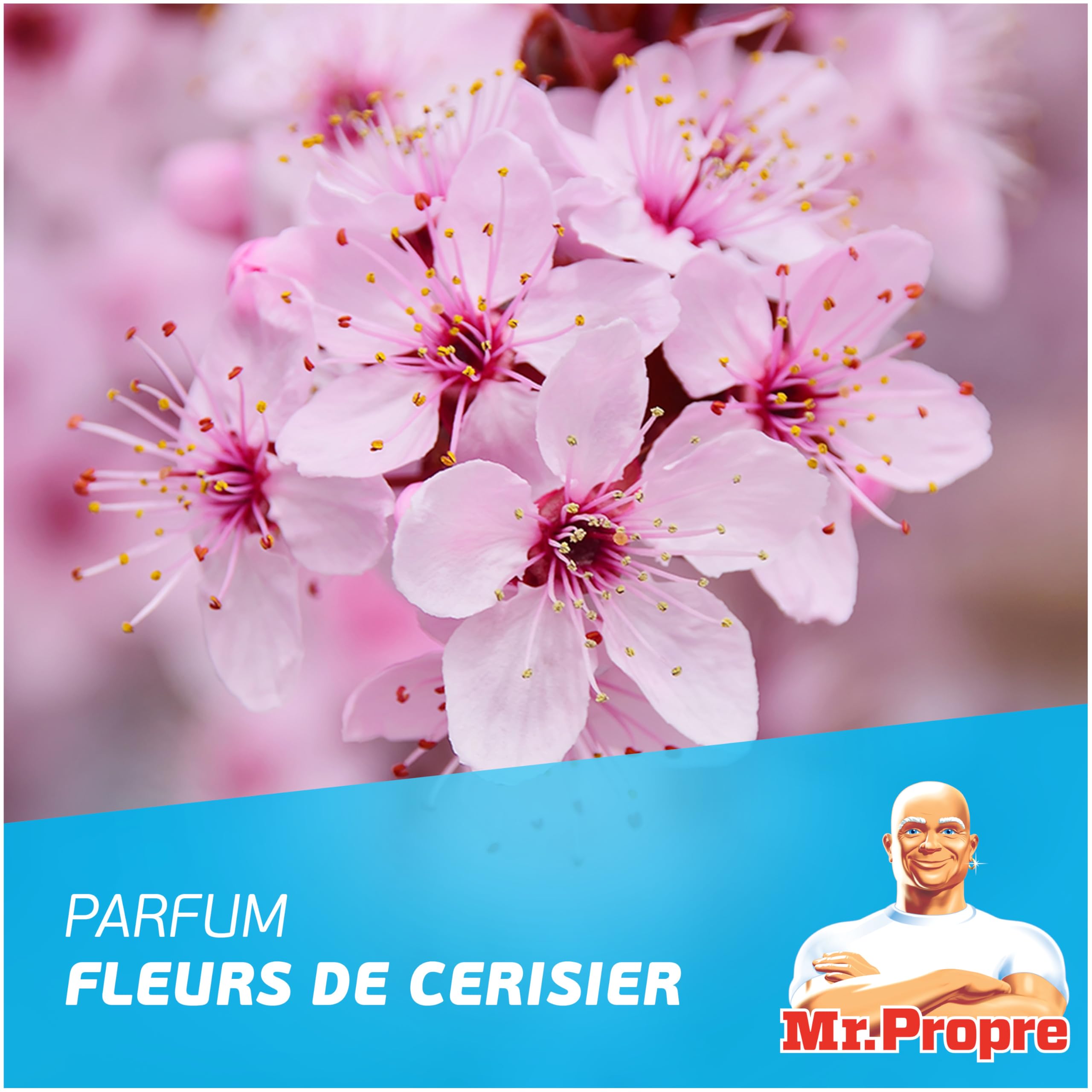 mr-propre-spray-nettoyant-multi-usages-fleurs-de-cerisier-800ml-x10 image 4