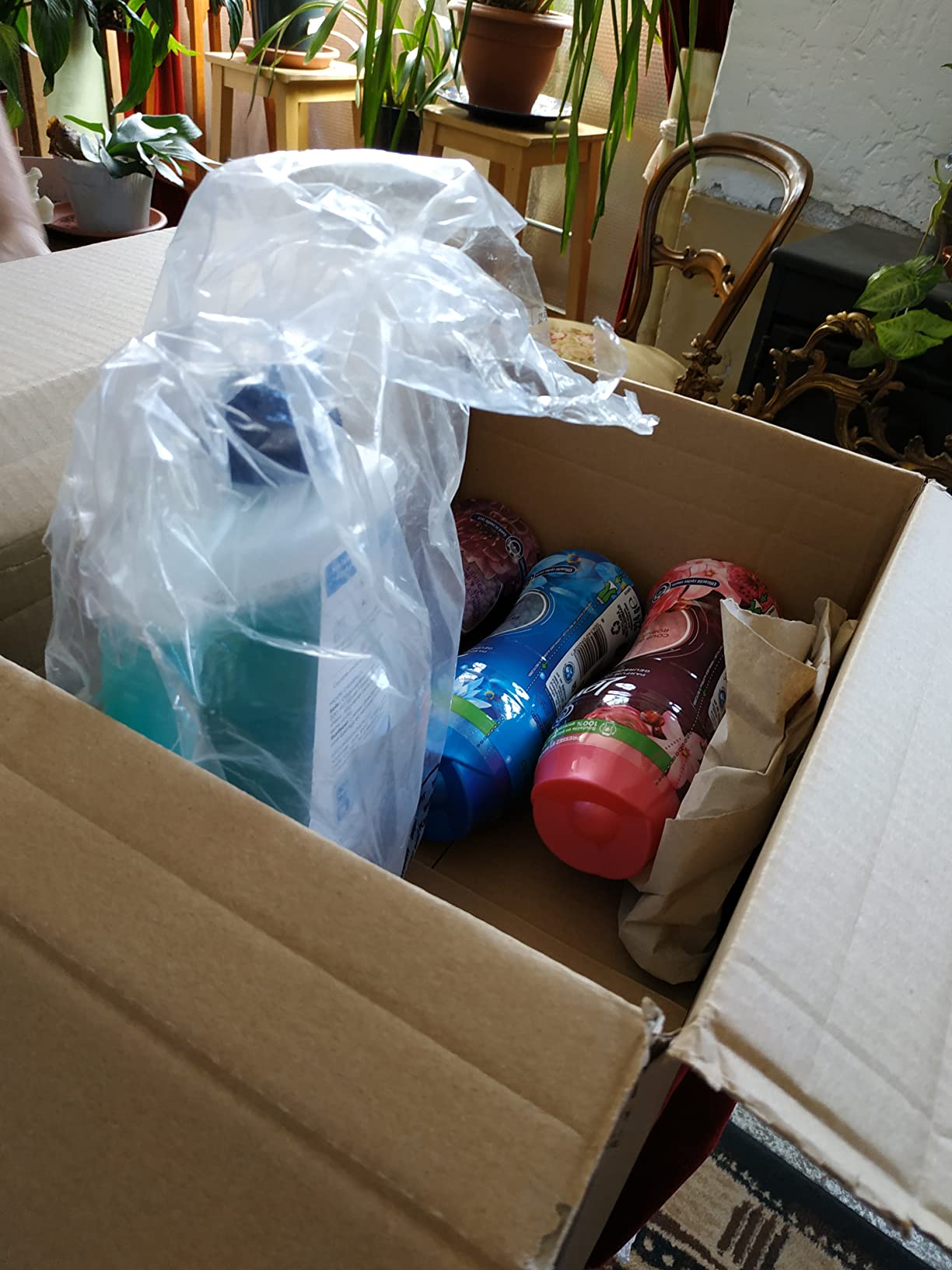 Adopté pour toute la maison