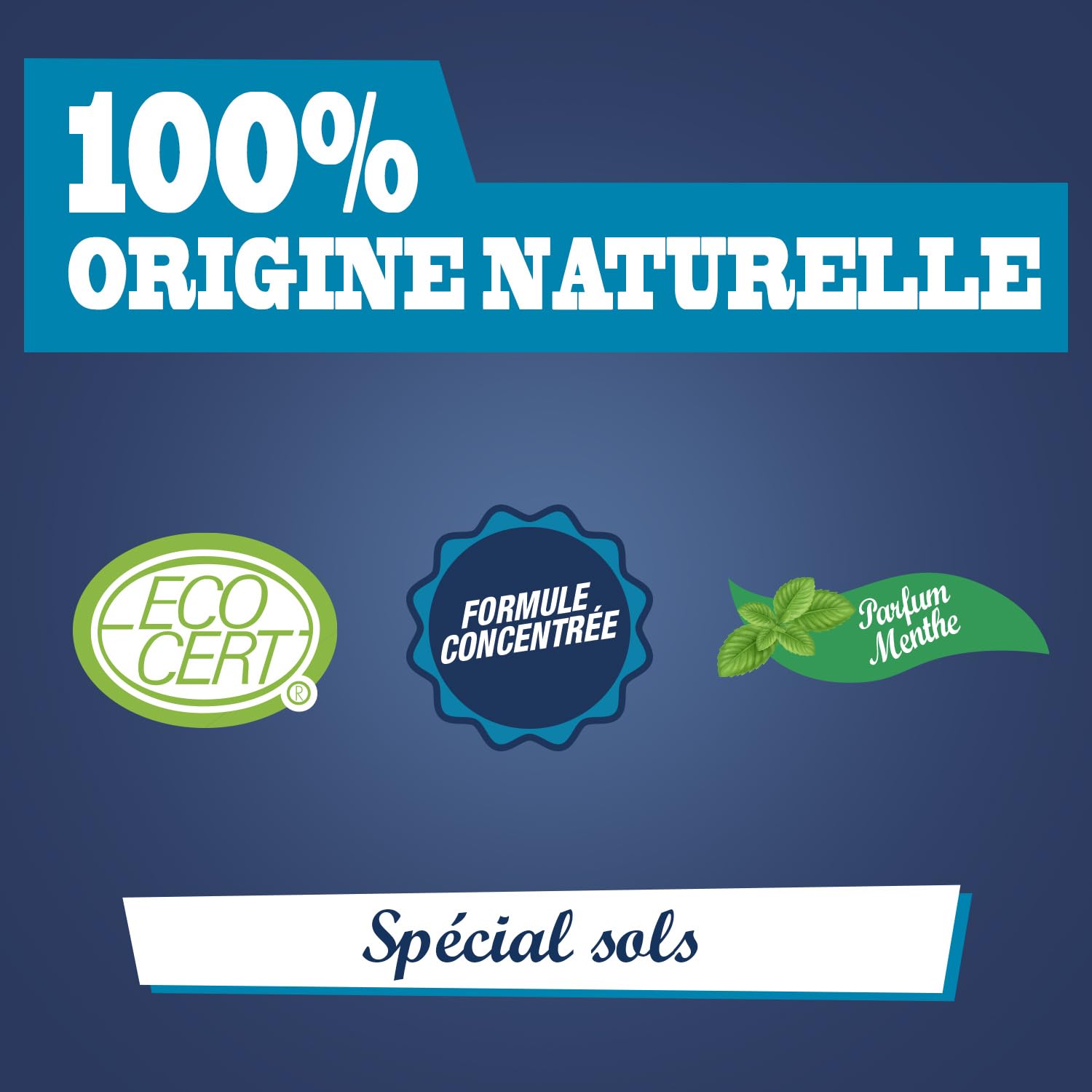 jacques-briochin-nettoyant-purifiant-sols-concentr-menthe-1l image 3