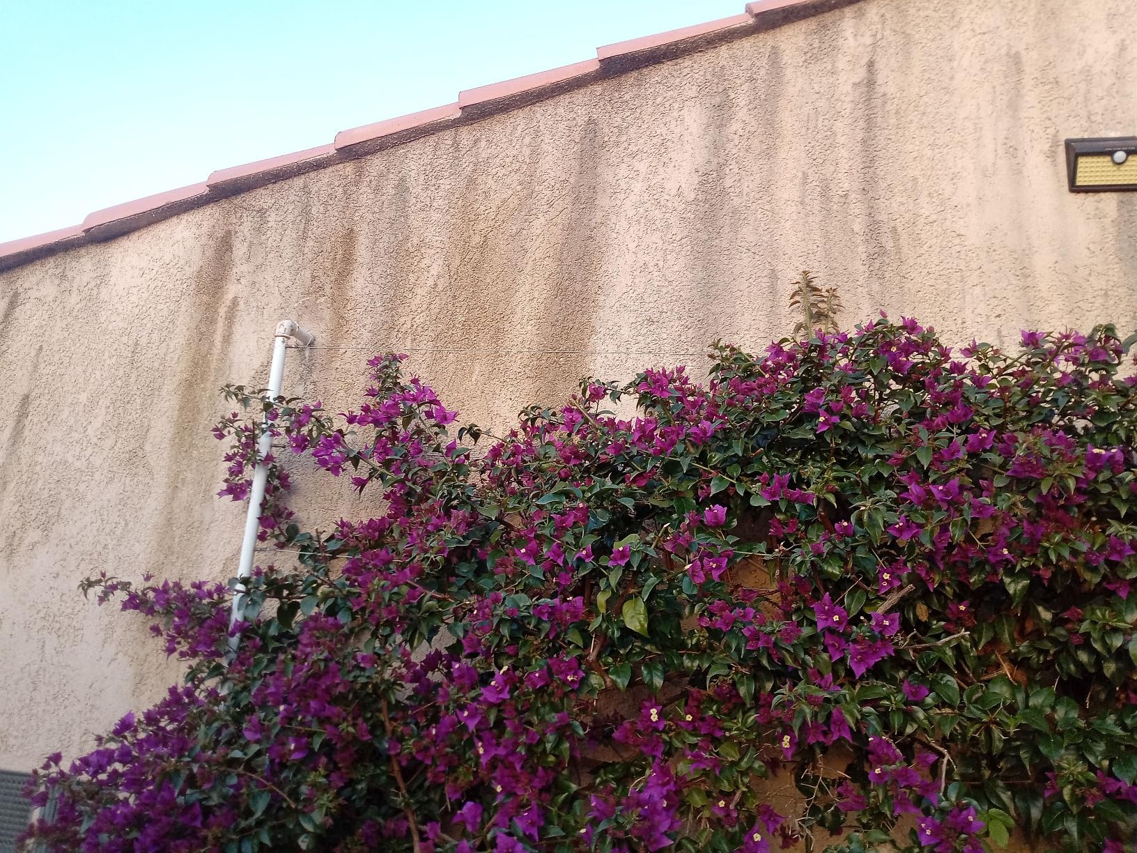 Déçue sur ma façade